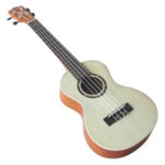 יוקללה קונצרט UK-700-24 ALOHA